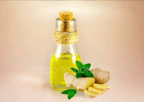 Ефірна олія Імбиру