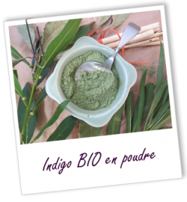 Натуральна хна INDIGO BIO, Франція - 4032