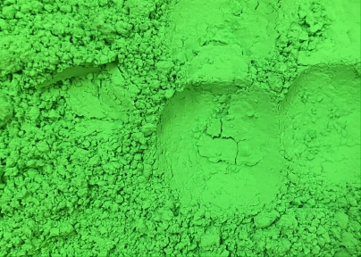 Пігмент сухий "Neon Green" - 6316